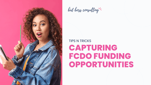 Capturing FCDO Funding Opportunities