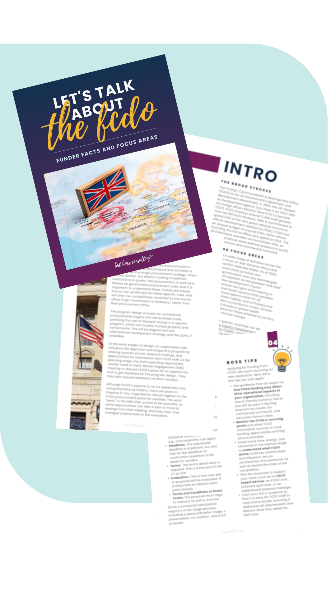 Free Download FCDO Funder Focus Guide